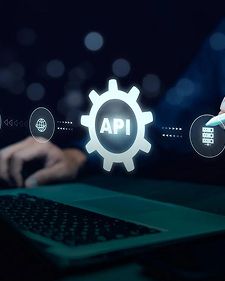 Custom API Integration